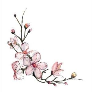 Meet your Posher, Leece