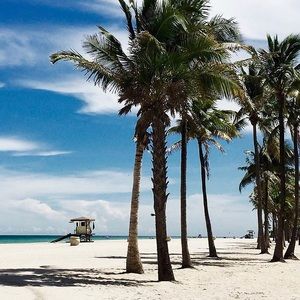 Meet your Posher, Martha