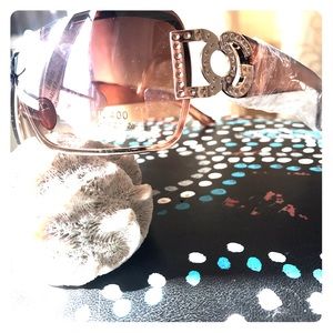 NWT D&G Brown Sunglasses