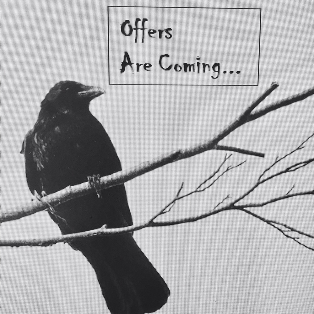 OFFERS ANYONE?