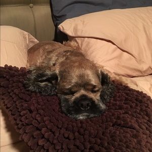 Meet your Posher, Betsy