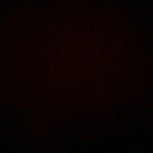 Meet your Posher, Bryan