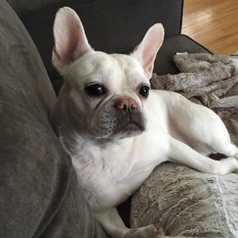 Meet your Posher, Chrissy