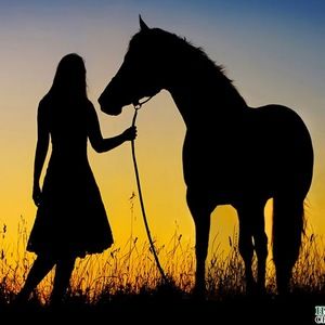 Meet your Posher, Randi