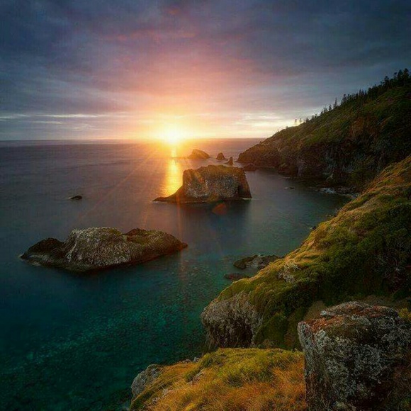 Meet your Posher, David - Picture 1 of 1