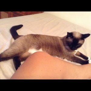 Meet your Posher, Claudia