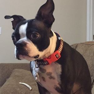 Meet your Posher, Allyson