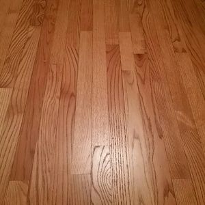 Meet your Posher, Elianna