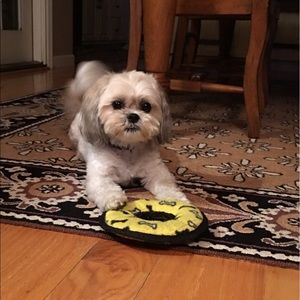 Meet your Posher, Caroline