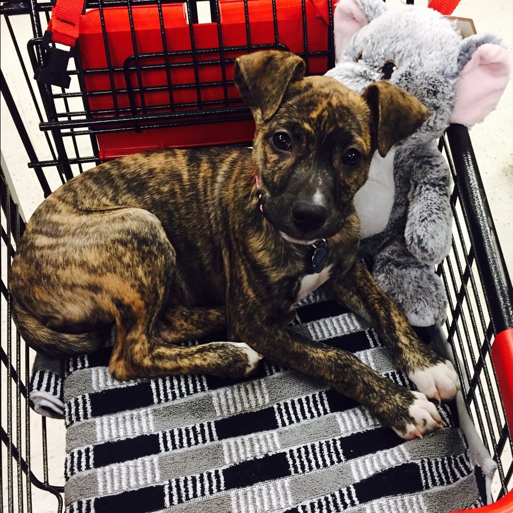 Meet your Posher, Rick