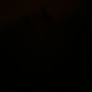 Meet your Posher, Tannya