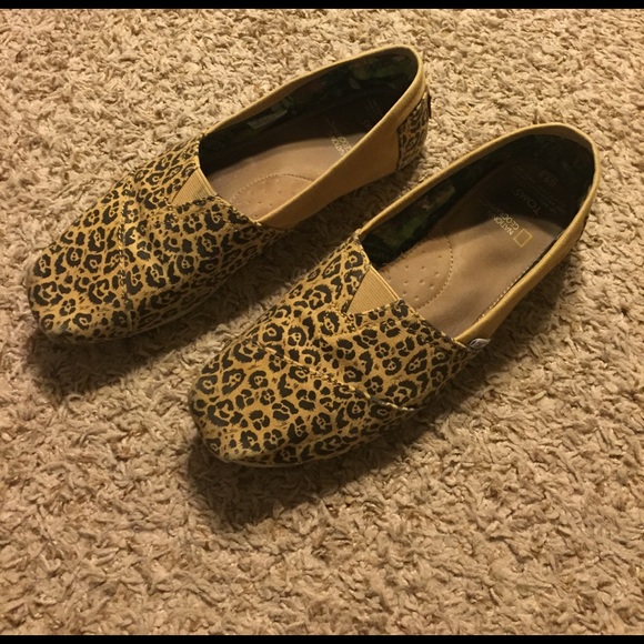 TOMS Shoes - TOMS cheetah classic