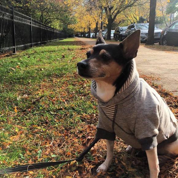 Meet your Posher, Adrianna - Picture 1 of 1