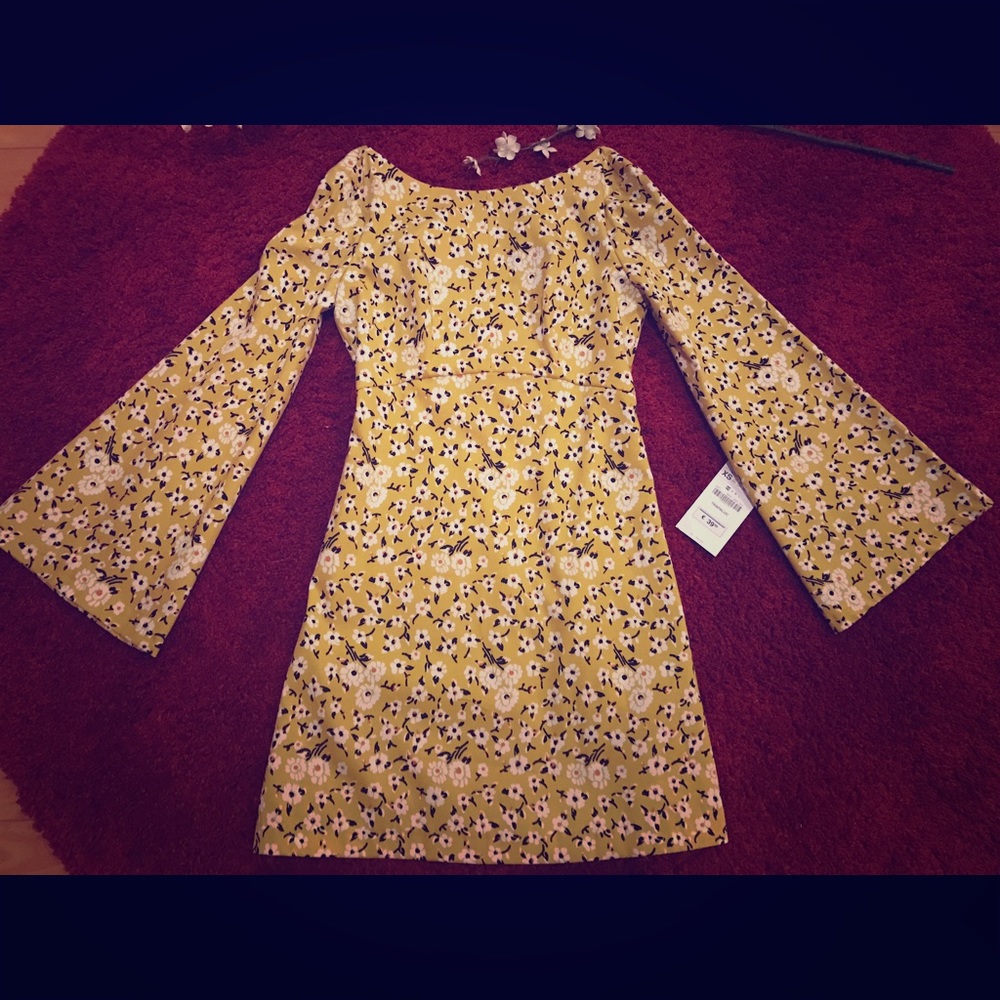 Brand new w tag  Zara xs dress