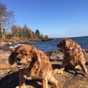 Meet your Posher, Elise