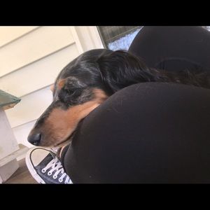 Meet your Posher, Anna