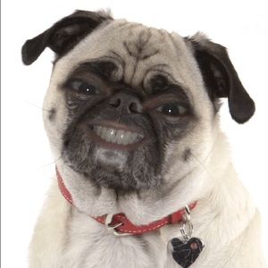 Meet your Posher, Ruby rose