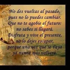 Meet your Posher, Reyna