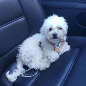 Meet your Posher, Christina