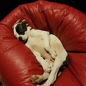 Meet your Posher, Hope