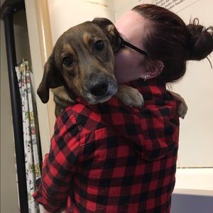 Meet your Posher, Justine