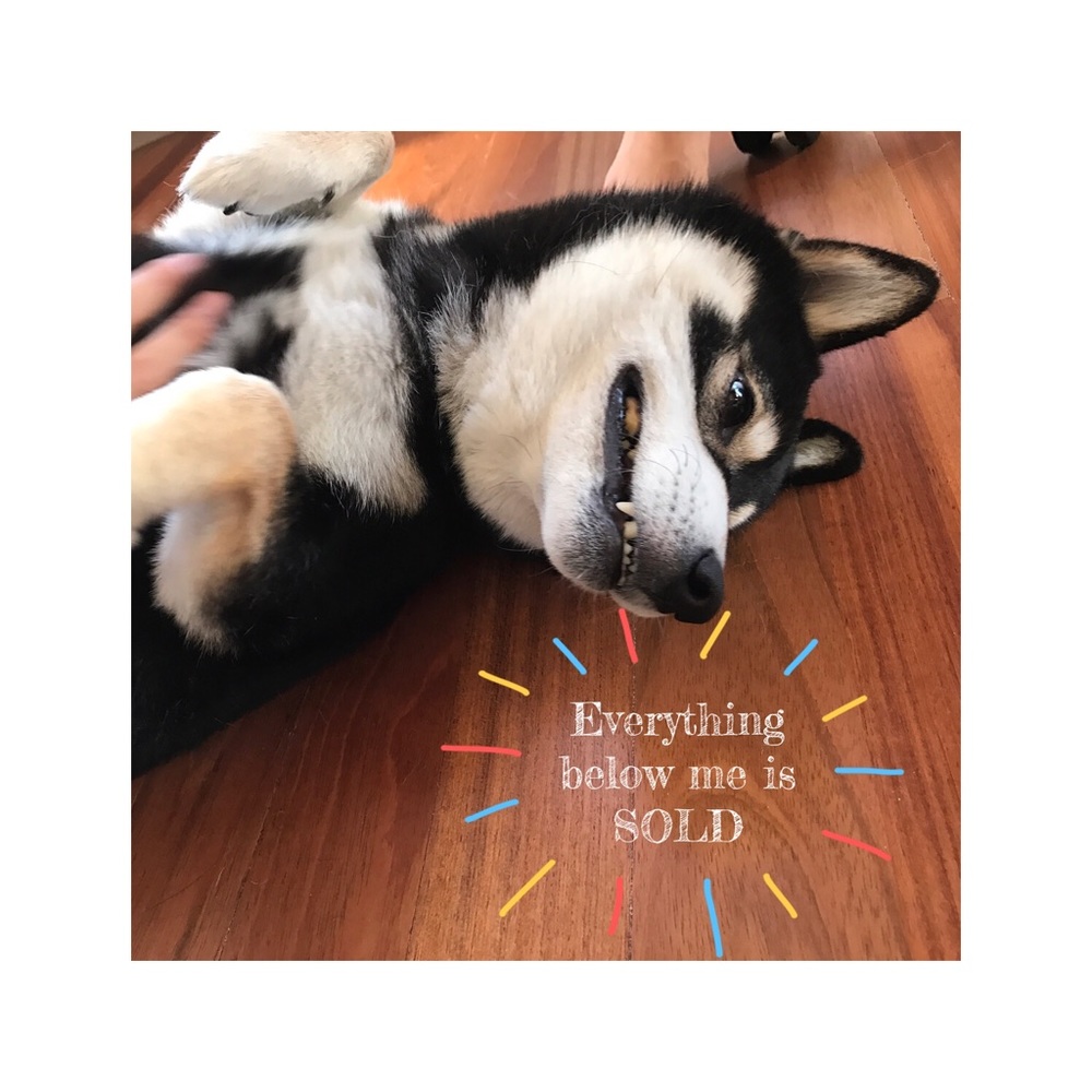 Everything below this dog is SOLD :)