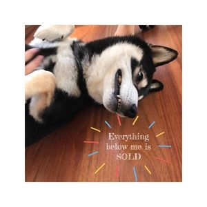 Everything below this dog is SOLD :)