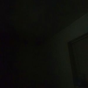 Meet your Posher, Polly