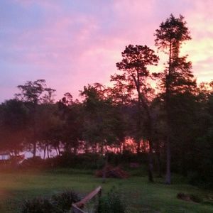 Meet your Posher, Dawnn