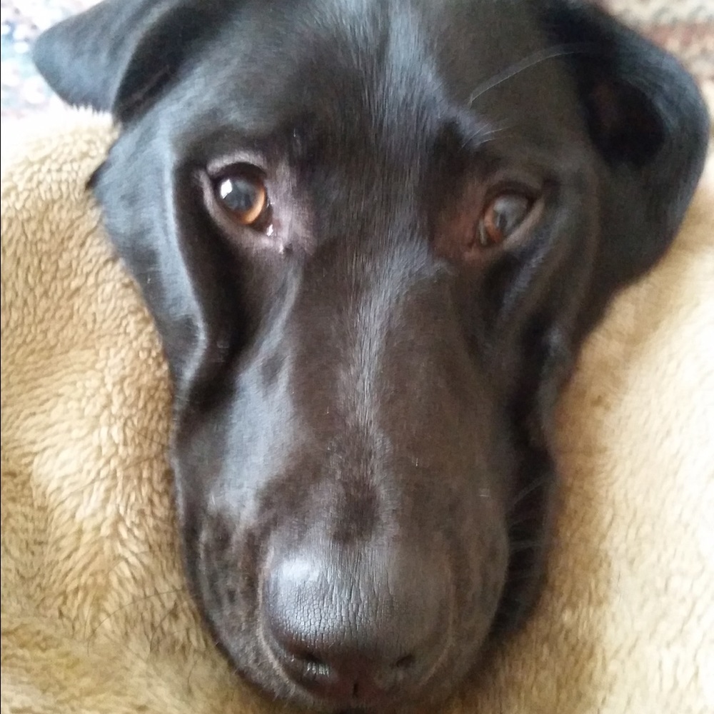 Meet your Posher, Marti