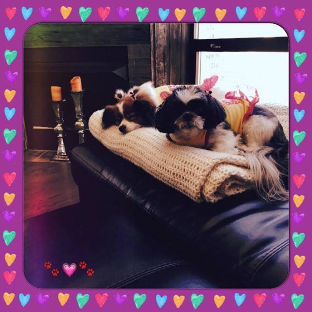 Meet your Posher, Elena