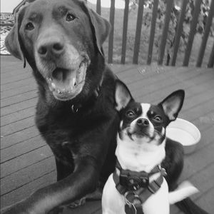 Meet your Posher, Nancy