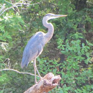 Meet your Posher, Ej