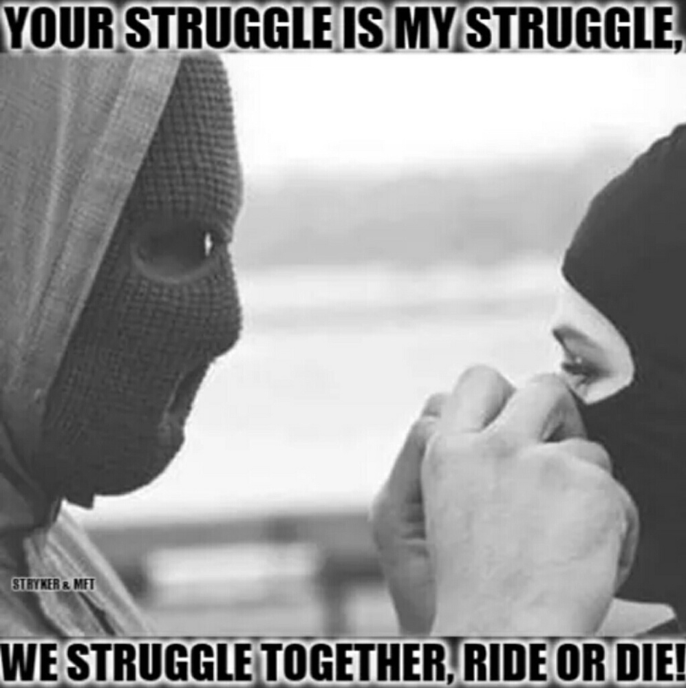 Meet your Posher, Dali