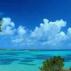 Meet your Posher, Di