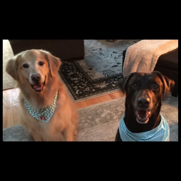 💗💗💗💗 - Picture 6 of 8