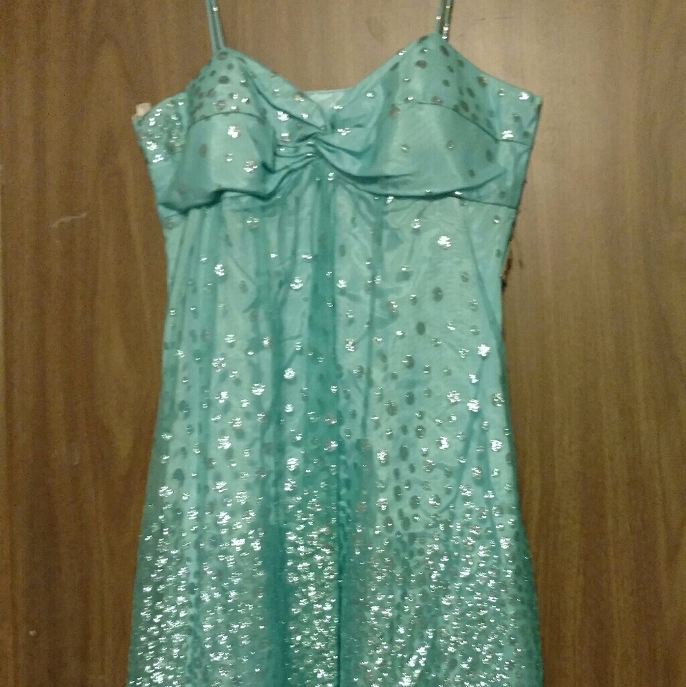 Sparkly dress