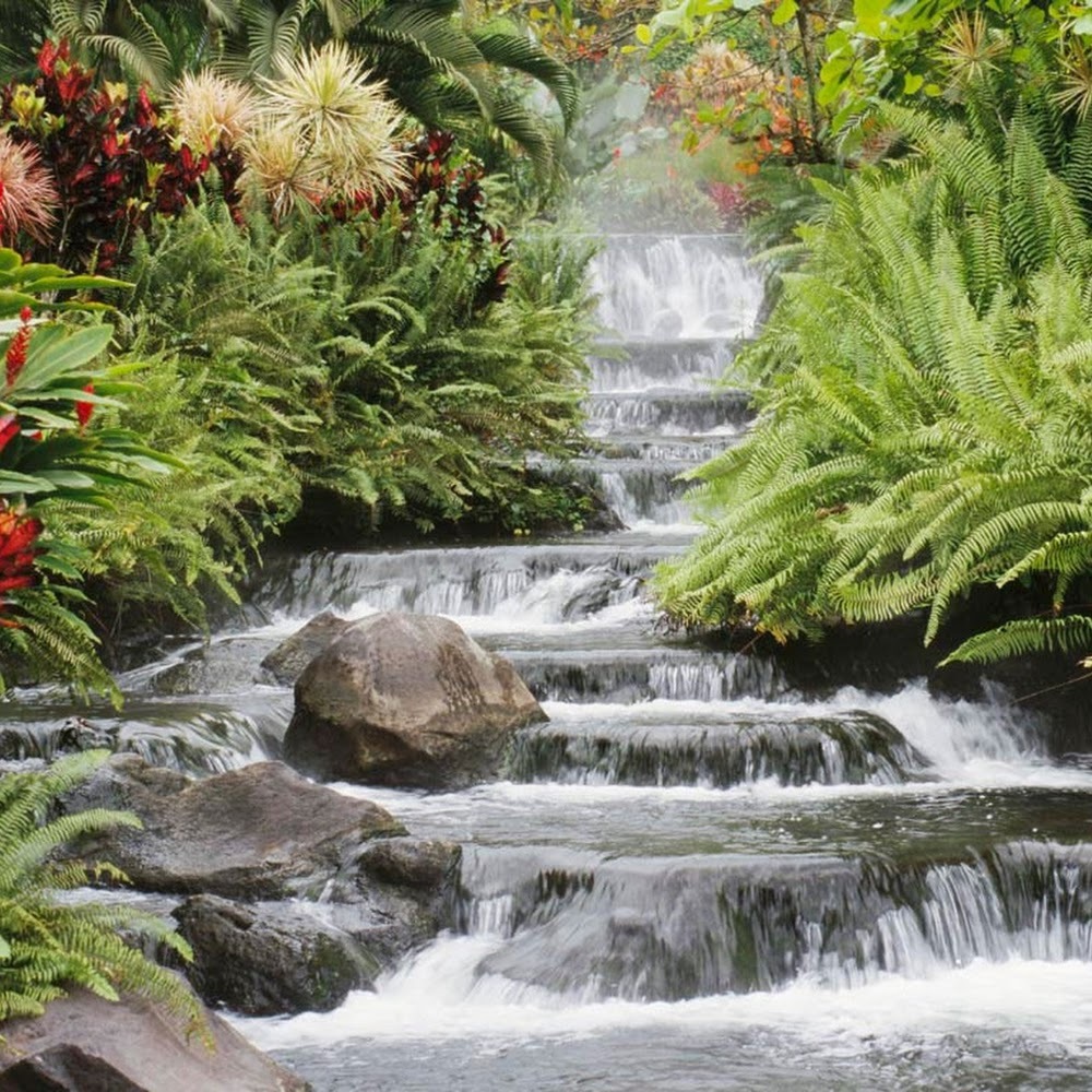 Meet your Posher, Jalwa