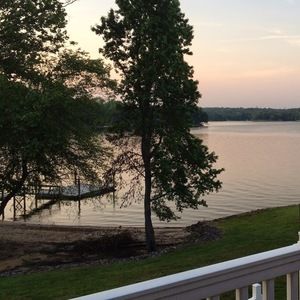 Meet your Posher, Lilly