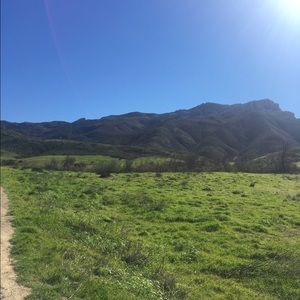 Meet your Posher, Anne