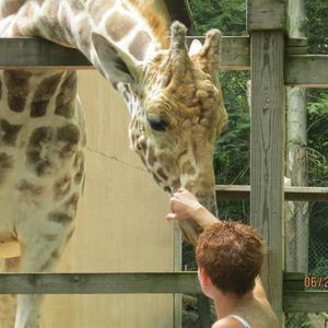 Meet your Posher, Cris