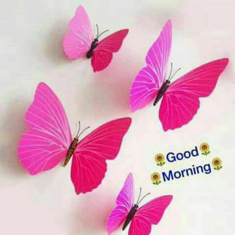 Meet your Posher, Masooma