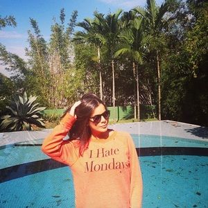 Wild Fox  I Hate Mondays