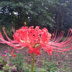 Meet your Posher, Lani