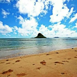 Meet your Posher, Nadia