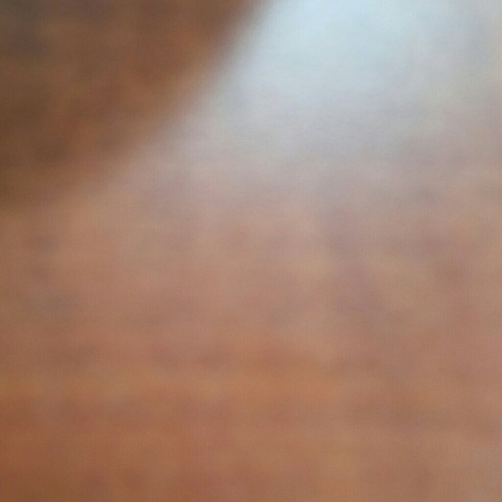 Meet your Posher, Darla