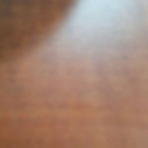 Meet your Posher, Darla