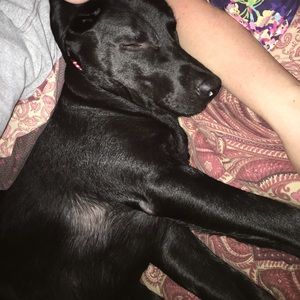 Meet your Posher, Sherri