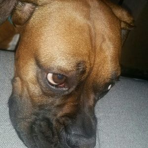 Meet your Posher, Roxanna