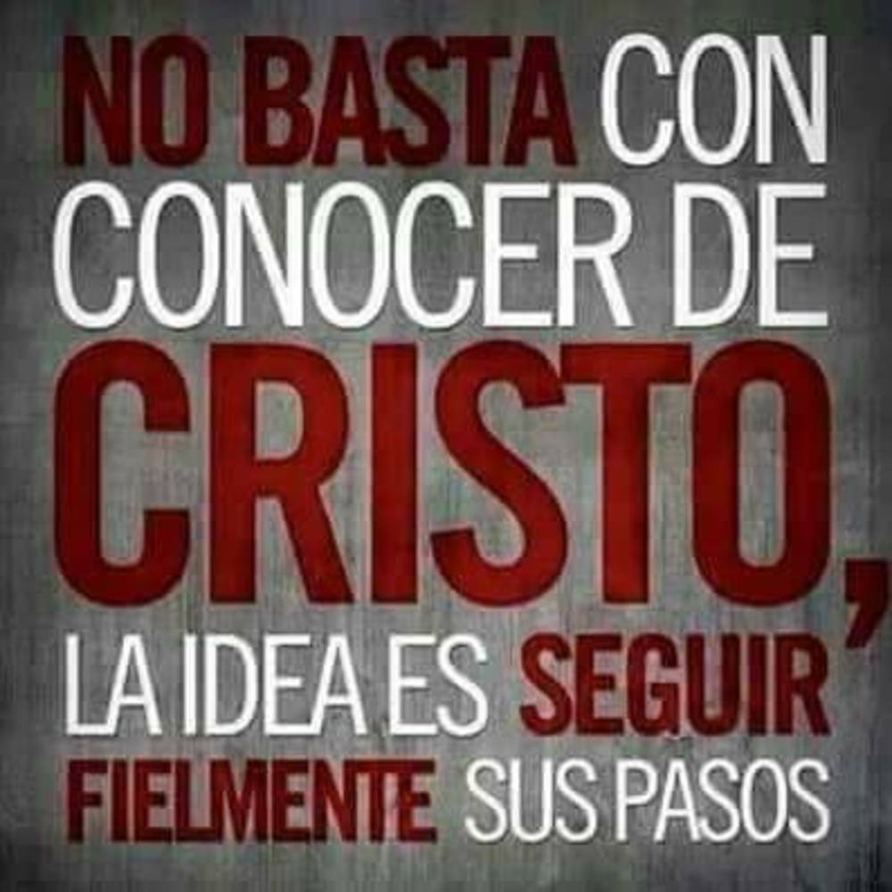 Meet your Posher, Silvia